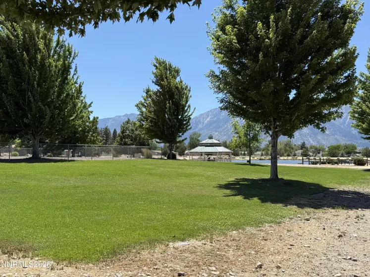 Mitch Park Grassy Area