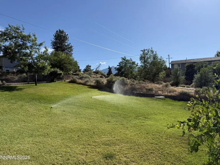 Front Yard