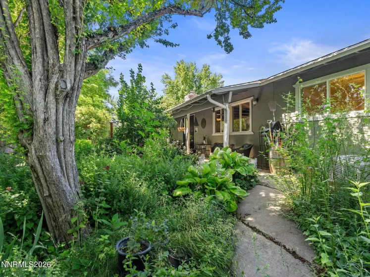 1621 Andorra, Carson City, Nevada 89703, 3 Bedrooms Bedrooms, ,3 BathroomsBathrooms,Residential,Residential,Andorra,0,260008745