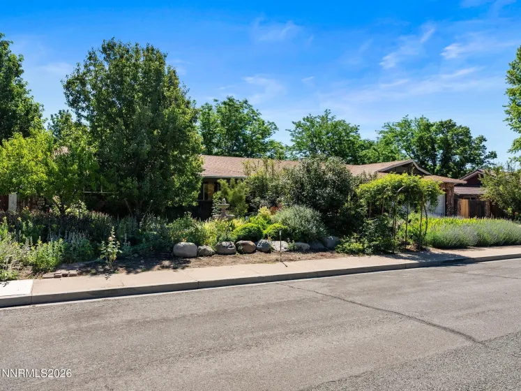 1621 Andorra, Carson City, Nevada 89703, 3 Bedrooms Bedrooms, ,3 BathroomsBathrooms,Residential,Residential,Andorra,0,260008745