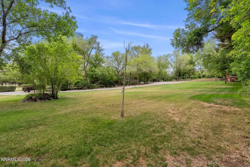 1400 Meadowview, Reno, Nevada 89509, 4 Bedrooms Bedrooms, ,4 BathroomsBathrooms,Residential,Residential,Meadowview,0,260006851