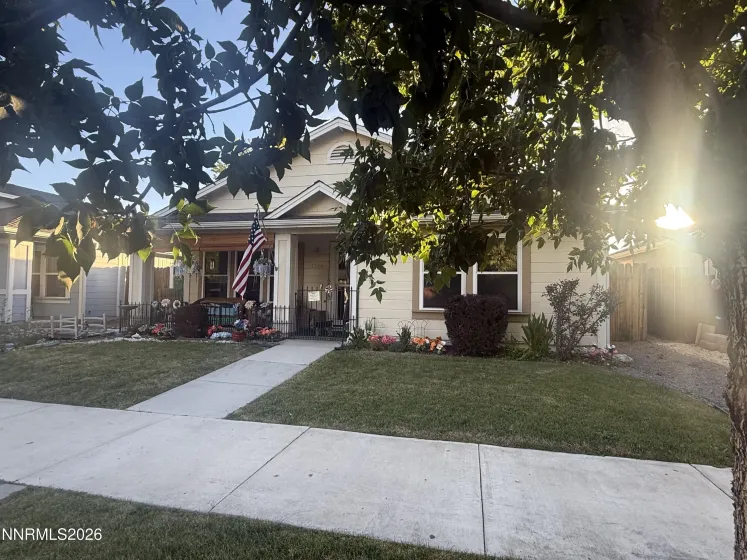 front yard