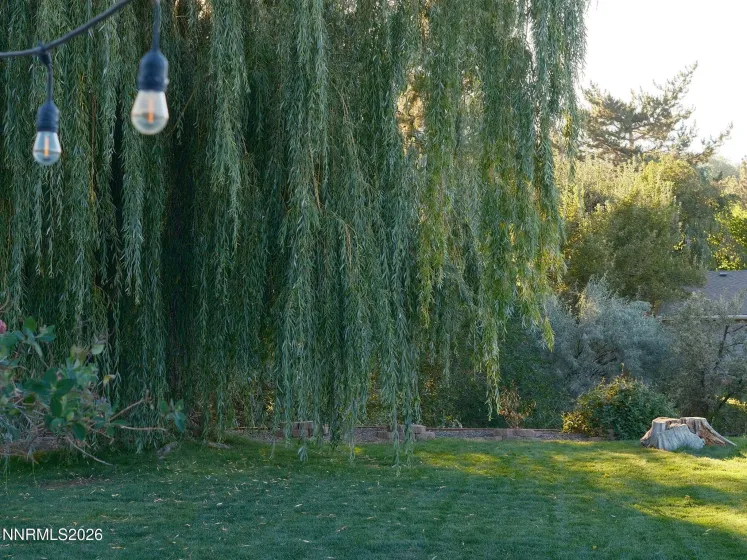 3775 Heavenly Valley, Reno, Nevada 89509, 3 Bedrooms Bedrooms, ,2 BathroomsBathrooms,Residential,Residential,Heavenly Valley,0,260008800