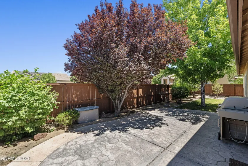 1629 Bridgeview, Reno, Nevada 89521, 3 Bedrooms Bedrooms, ,3 BathroomsBathrooms,Residential,Residential,Bridgeview,0,260008801