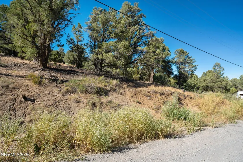 21630 Sazarac, Reno, Nevada 89521, ,Land,Residential,Sazarac,0,260008809