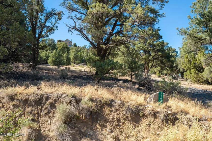 21630 Sazarac, Reno, Nevada 89521, ,Land,Residential,Sazarac,0,260008809