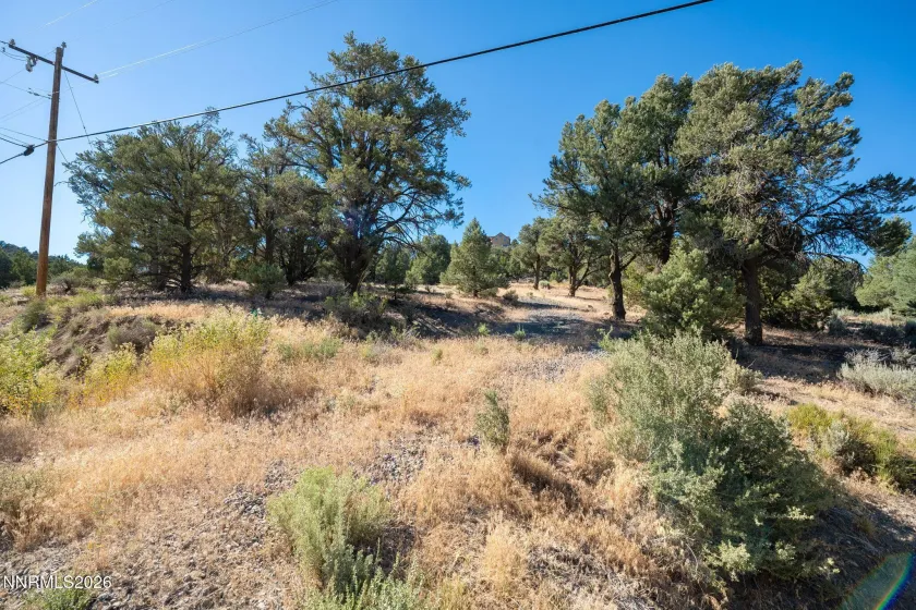 21630 Sazarac, Reno, Nevada 89521, ,Land,Residential,Sazarac,0,260008809