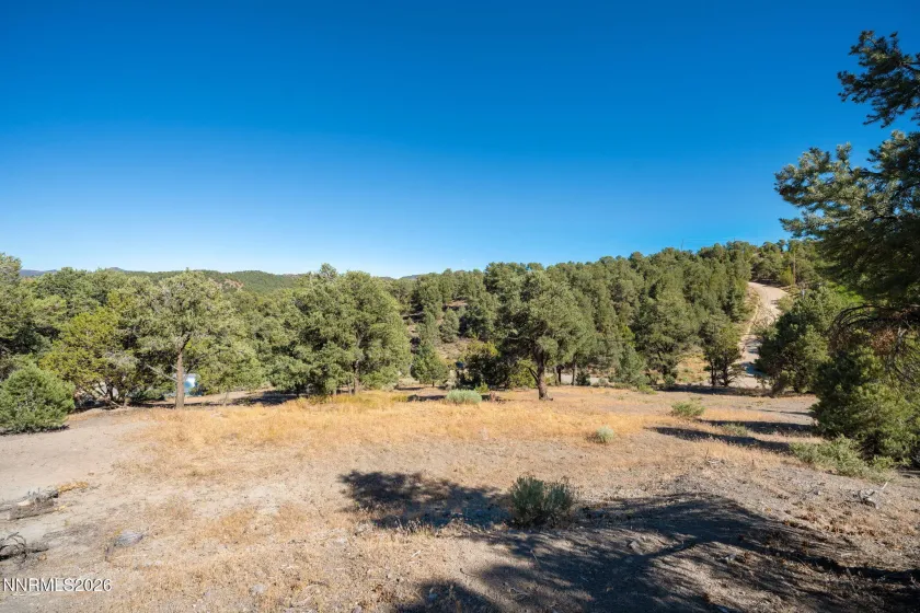 21630 Sazarac, Reno, Nevada 89521, ,Land,Residential,Sazarac,0,260008809