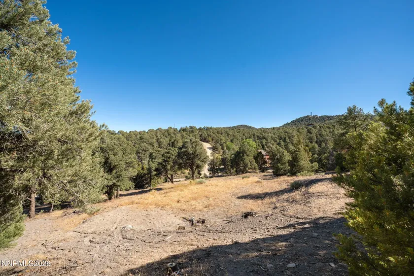 21630 Sazarac, Reno, Nevada 89521, ,Land,Residential,Sazarac,0,260008809