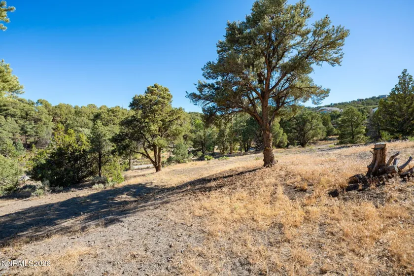 21630 Sazarac, Reno, Nevada 89521, ,Land,Residential,Sazarac,0,260008809