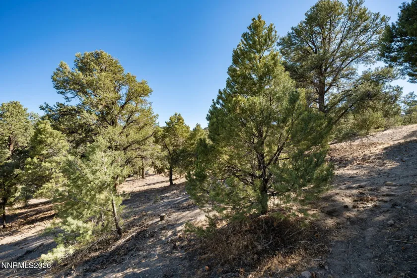 21630 Sazarac, Reno, Nevada 89521, ,Land,Residential,Sazarac,0,260008809