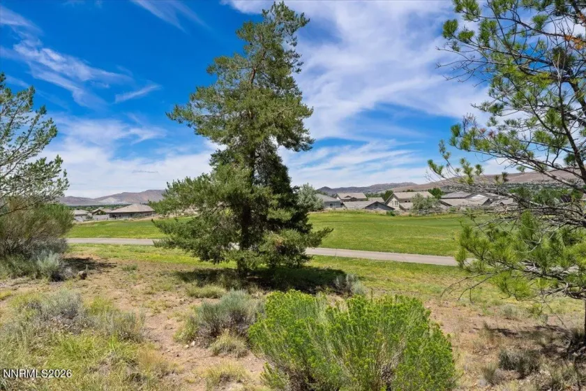 6367 Rey Del Sierra, Sparks, Nevada 89436, ,Land,Residential,Rey Del Sierra,0,260008814