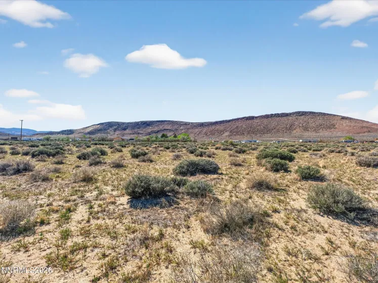 1340 Badger, Silver Springs, Nevada 89429, ,Land,Residential,Badger,0,260001033