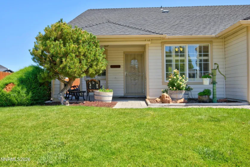 Front Yard