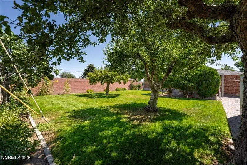 725 Wilkinson, Reno, Nevada 89502, 2 Bedrooms Bedrooms, ,1 BathroomBathrooms,Residential,Residential,Wilkinson,0,260008854