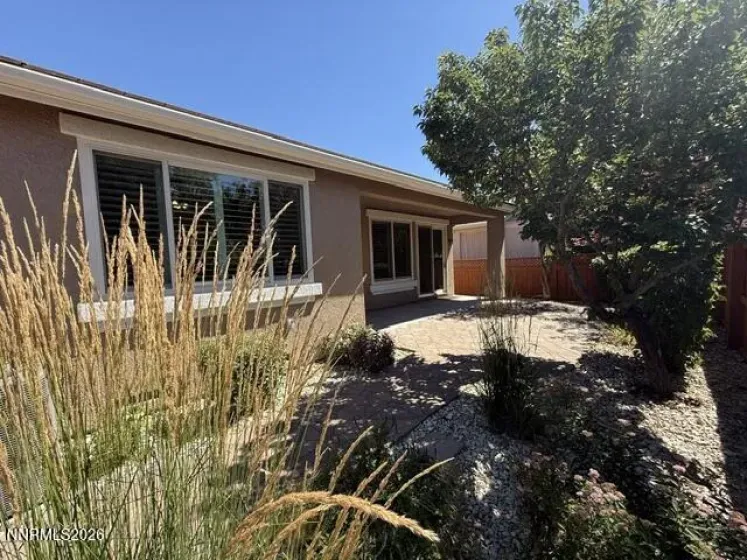 Backyard/Low Maintenance Landscaping