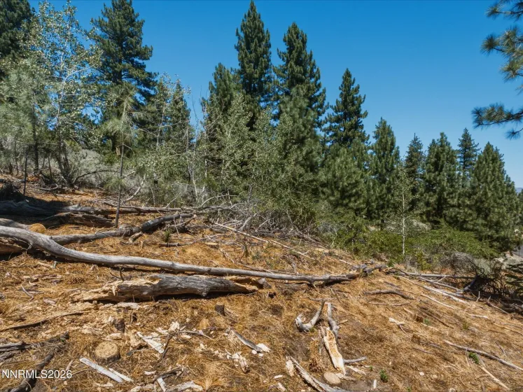 490 Nature's Edge, Gardnerville, Nevada 89460, ,Land,Residential,Nature's Edge,0,260008870