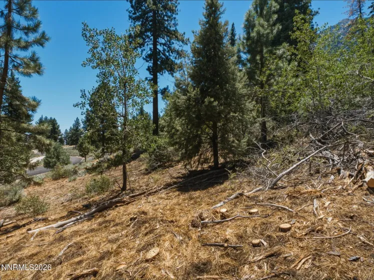 490 Nature's Edge, Gardnerville, Nevada 89460, ,Land,Residential,Nature's Edge,0,260008870