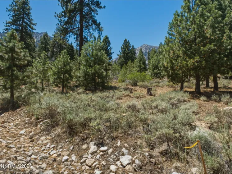 490 Nature's Edge, Gardnerville, Nevada 89460, ,Land,Residential,Nature's Edge,0,260008870