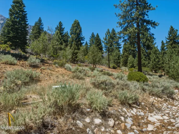 490 Nature's Edge, Gardnerville, Nevada 89460, ,Land,Residential,Nature's Edge,0,260008870