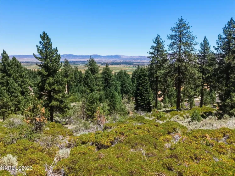 490 Nature's Edge, Gardnerville, Nevada 89460, ,Land,Residential,Nature's Edge,0,260008870