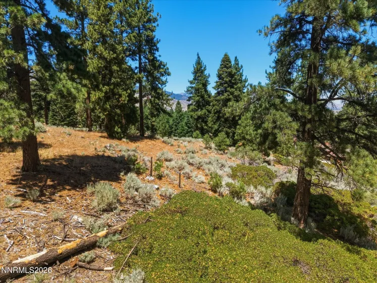 490 Nature's Edge, Gardnerville, Nevada 89460, ,Land,Residential,Nature's Edge,0,260008870