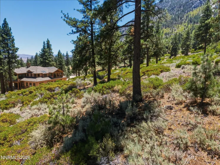 490 Nature's Edge, Gardnerville, Nevada 89460, ,Land,Residential,Nature's Edge,0,260008870