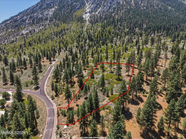490 Nature's Edge, Gardnerville, Nevada 89460, ,Land,Residential,Nature's Edge,0,260008870
