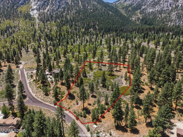 490 Nature's Edge, Gardnerville, Nevada 89460, ,Land,Residential,Nature's Edge,0,260008870