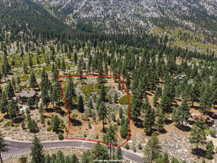 490 Nature's Edge, Gardnerville, Nevada 89460, ,Land,Residential,Nature's Edge,0,260008870