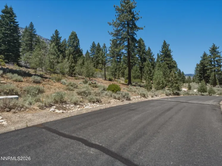 490 Nature's Edge, Gardnerville, Nevada 89460, ,Land,Residential,Nature's Edge,0,260008870