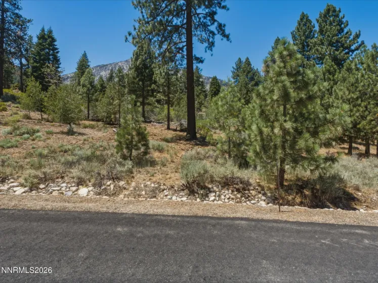 490 Nature's Edge, Gardnerville, Nevada 89460, ,Land,Residential,Nature's Edge,0,260008870