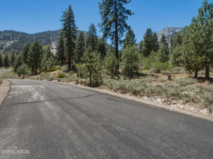 490 Nature's Edge, Gardnerville, Nevada 89460, ,Land,Residential,Nature's Edge,0,260008870