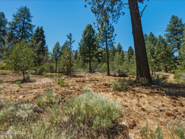 490 Nature's Edge, Gardnerville, Nevada 89460, ,Land,Residential,Nature's Edge,0,260008870