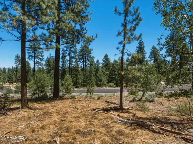 490 Nature's Edge, Gardnerville, Nevada 89460, ,Land,Residential,Nature's Edge,0,260008870