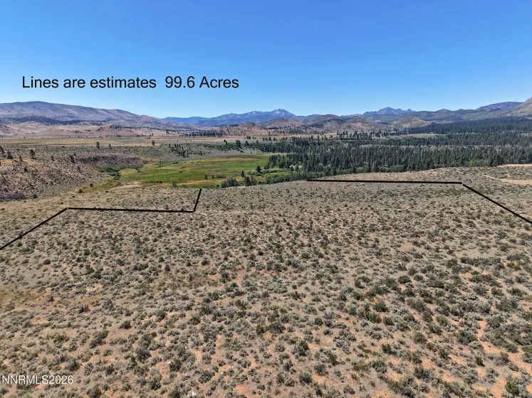99.6 Acres California 88, Markleeville, California 96120, ,Land,Residential,California 88,0,260008887