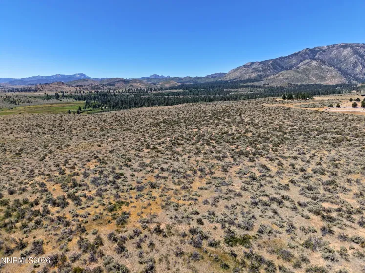 99.6 Acres California 88, Markleeville, California 96120, ,Land,Residential,California 88,0,260008887