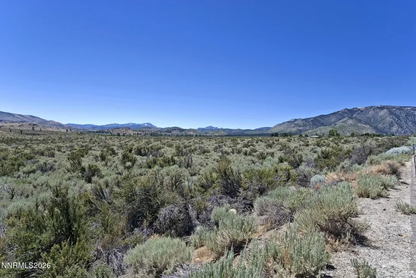 99.6 Acres California 88, Markleeville, California 96120, ,Land,Residential,California 88,0,260008887