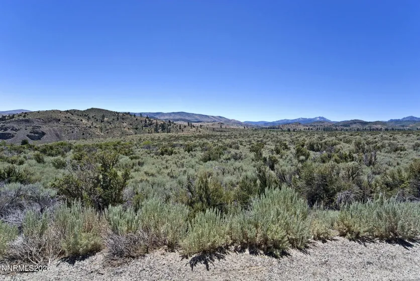 99.6 Acres California 88, Markleeville, California 96120, ,Land,Residential,California 88,0,260008887