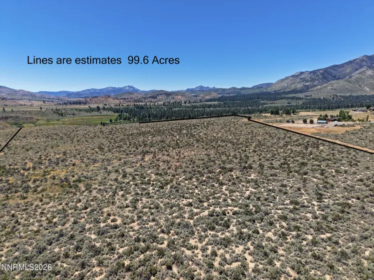 99.6 Acres California 88, Markleeville, California 96120, ,Land,Residential,California 88,0,260008887