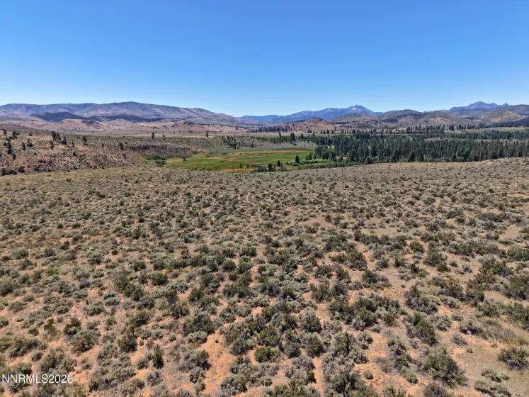 99.6 Acres California 88, Markleeville, California 96120, ,Land,Residential,California 88,0,260008887