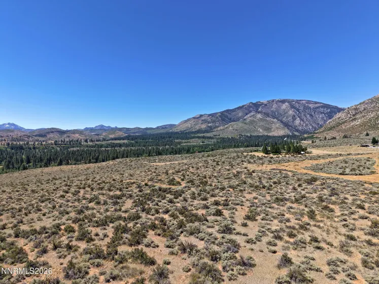 99.6 Acres California 88, Markleeville, California 96120, ,Land,Residential,California 88,0,260008887