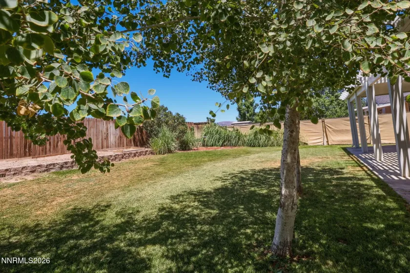 1060 Pepper, Fernley, Nevada 89408, 3 Bedrooms Bedrooms, ,2 BathroomsBathrooms,Residential,Residential,Pepper,0,260008907