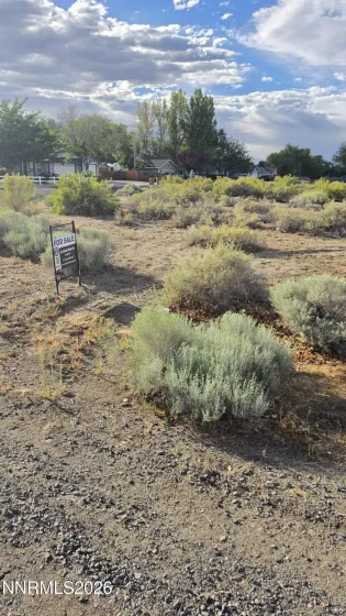 1195 Sarah Belle, Fallon, Nevada 89406, ,Land,Residential,Sarah Belle,0,260008915