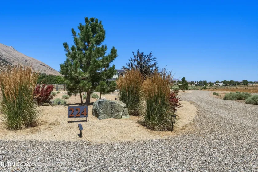 224 Angie, Wellington, Nevada 89444, 3 Bedrooms Bedrooms, ,3 BathroomsBathrooms,Residential,Residential,Angie,0,260008933