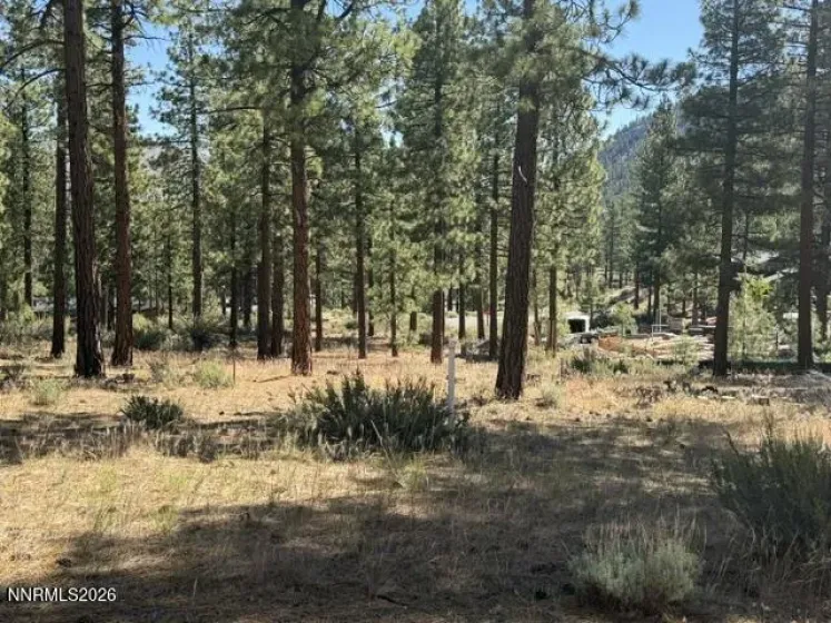230 Redding, Carson City, Nevada 89705, ,Land,Residential,Redding,0,260008935
