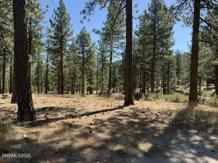230 Redding, Carson City, Nevada 89705, ,Land,Residential,Redding,0,260008935