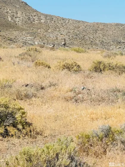 T25 Sec 17, Lovelock, Nevada 89419, ,Land,Residential,Sec 17,0,260008936