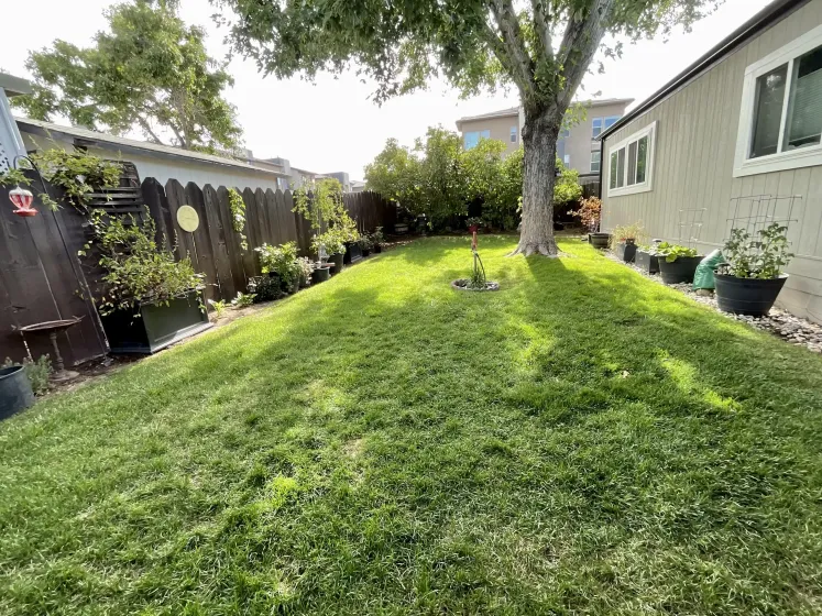 113 Hayes Circle, Reno, Nevada 89511, 2 Bedrooms Bedrooms, 10 Rooms Rooms,2 BathroomsBathrooms,Manufactured,Residential,Hayes,0,260008955