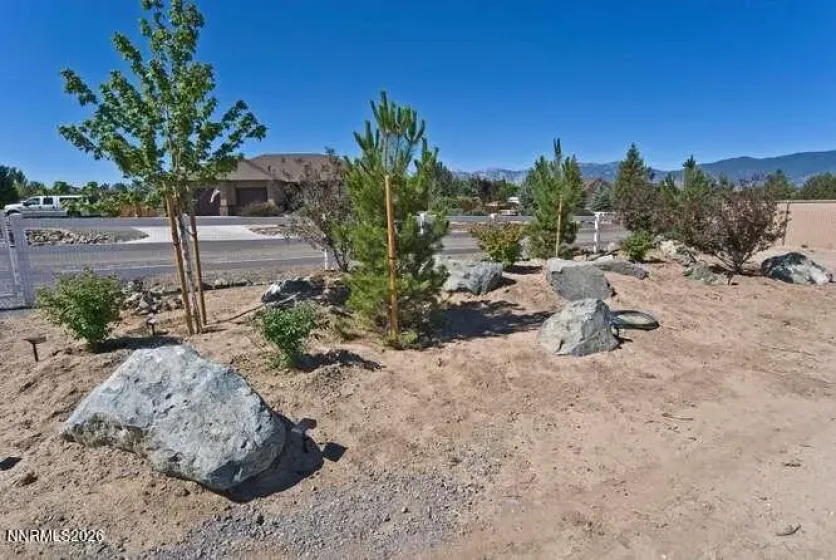 1572 Amber Rose, Minden, Nevada 89423, 3 Bedrooms Bedrooms, ,3 BathroomsBathrooms,Residential,Residential,Amber Rose,0,260008960